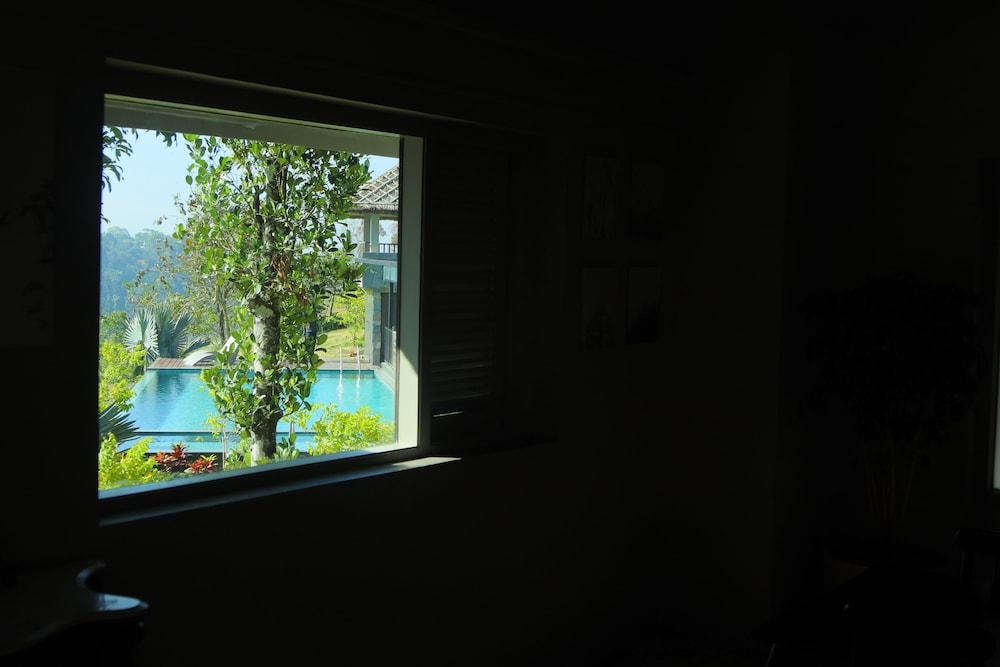 Premium Room photo 3