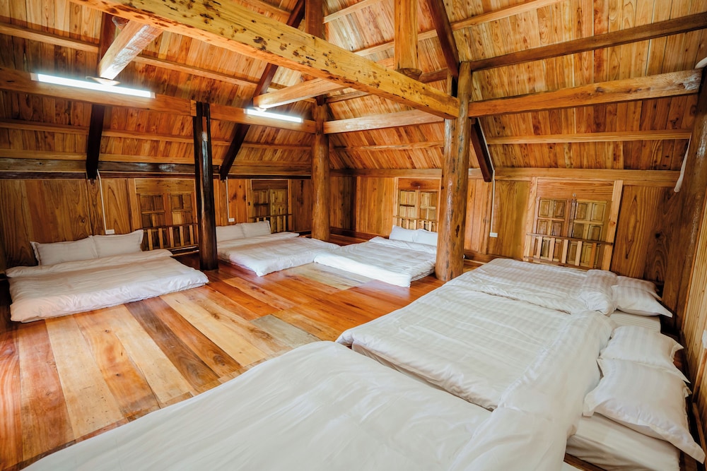 Standard Shared Dormitory photo 1