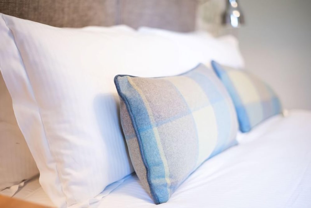 Standard Room, 1 King Bed photo 3