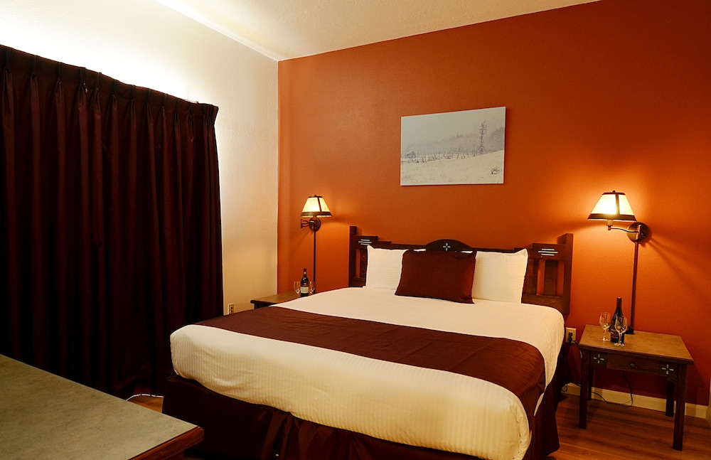 Suite - Photo 1