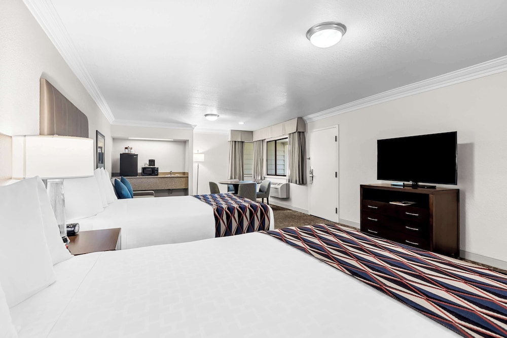 Suite, Multiple Beds, Non Smoking, Kitchen (Living Room;with Sofabed) photo 1