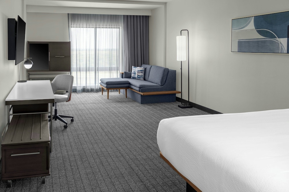 Suite, 1 King Bed with Sofa bed