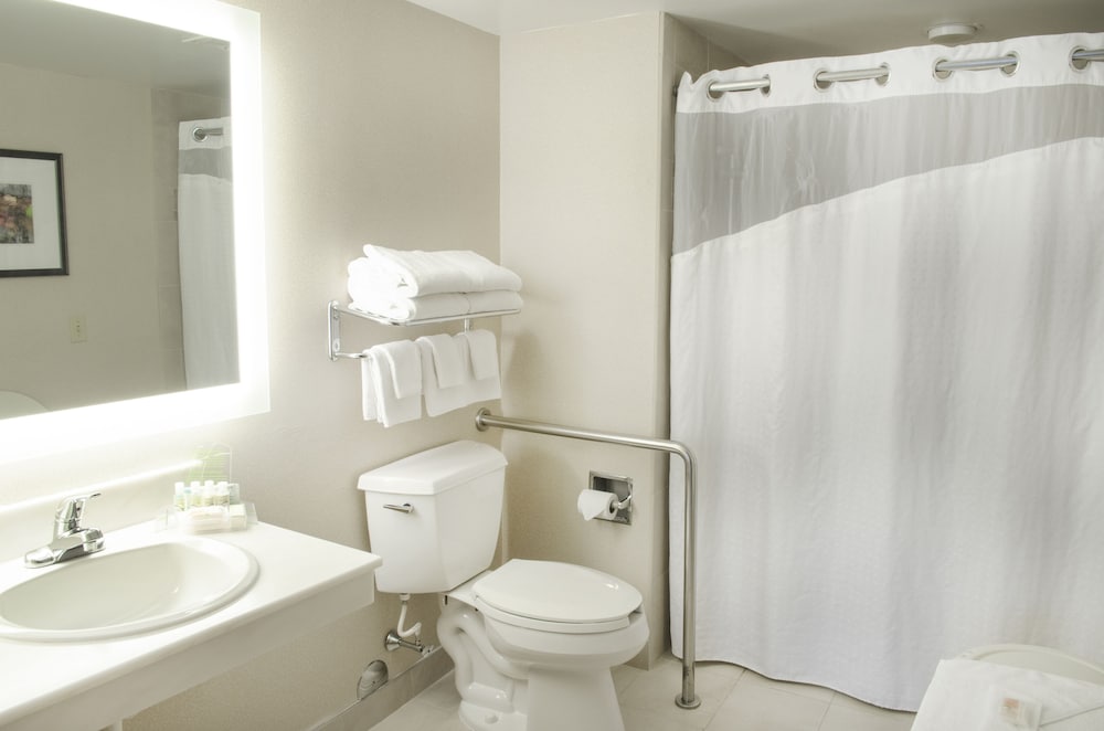 Standard Room, 1 Queen Bed, Mobility Accessible (Communications) - Photo 6