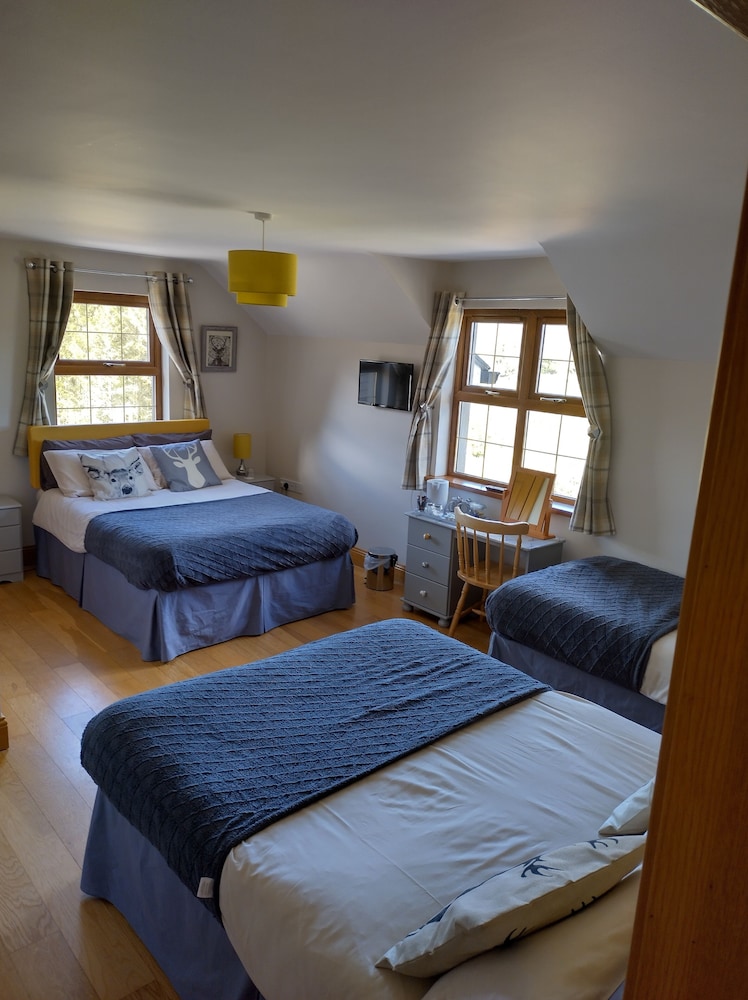 Room (Large Room 3) photo 3