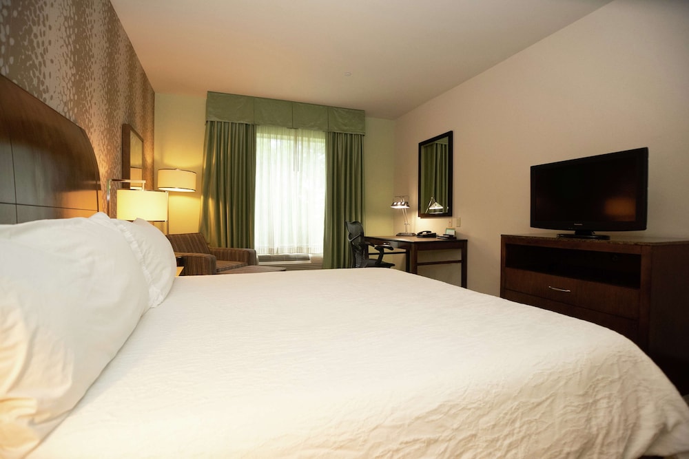 Room, 1 King Bed, Accessible (Hearing) - Photo 1