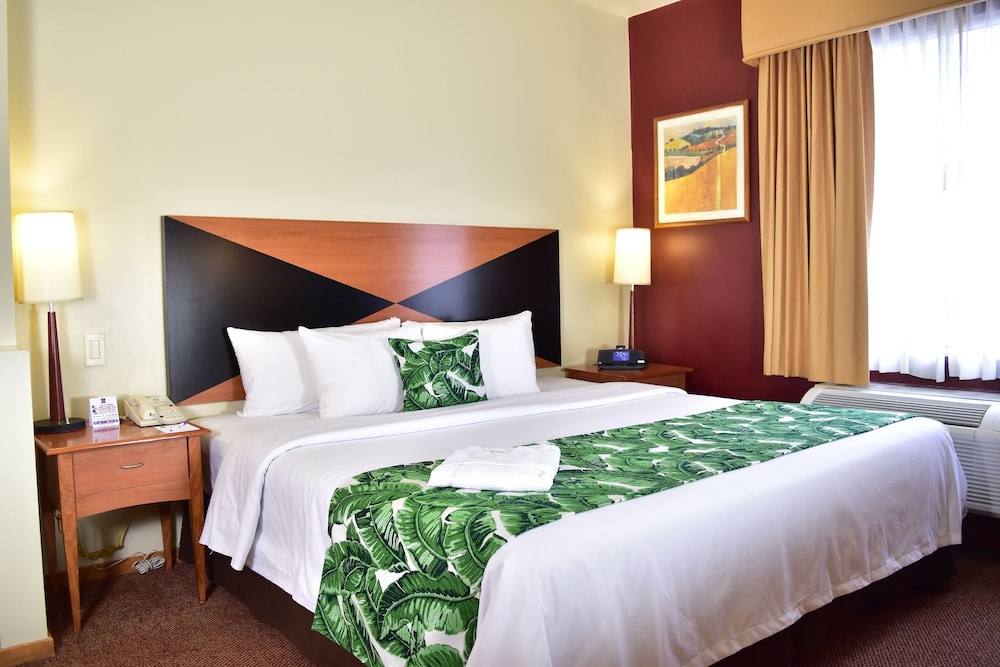 Suite, 1 King Bed with Sofa bed, Non Smoking - Photo 4