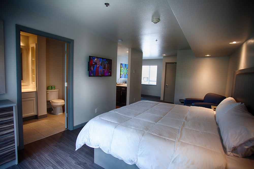 Deluxe Studio Suite photo 1