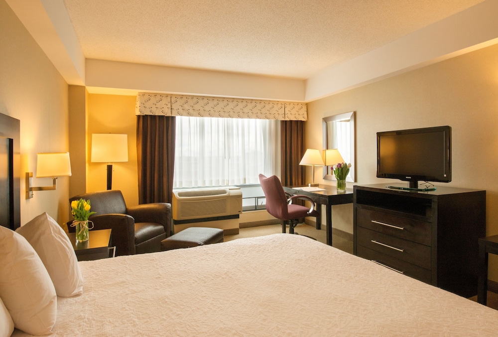 Room, 1 King Bed, Accessible (Roll-In Shower)