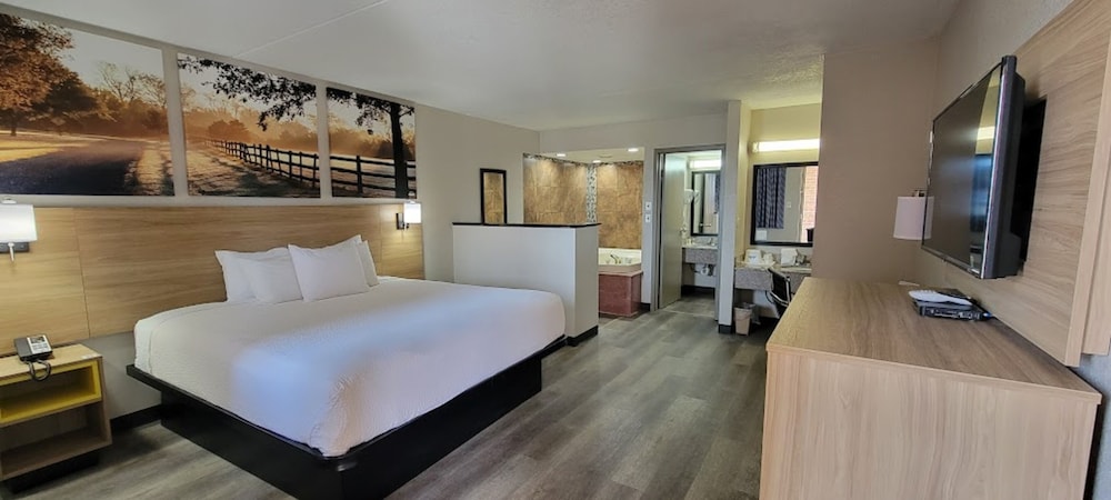 Suite, 1 King Bed photo 3