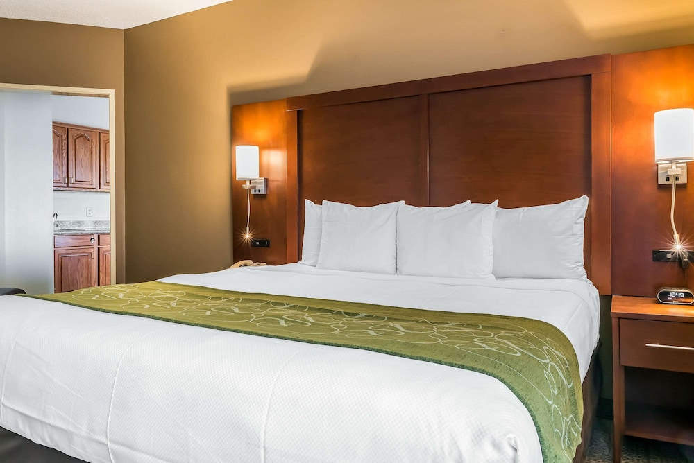 Suite, 1 King Bed, Non Smoking - Photo 32