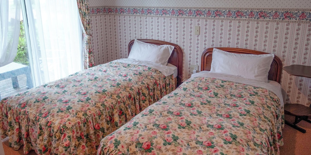 Twin Room photo 2