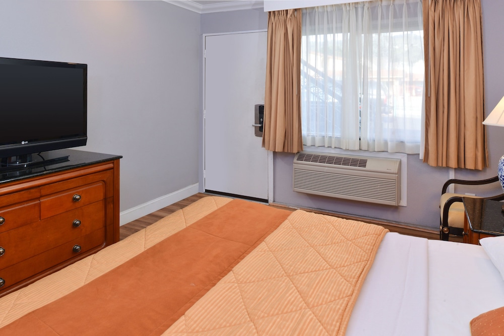 Single Room, Accessible photo 3