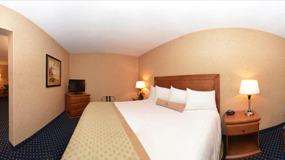 Suite, 1 King Bed, Non Smoking, Kitchenette (with Sofabed) photo 2