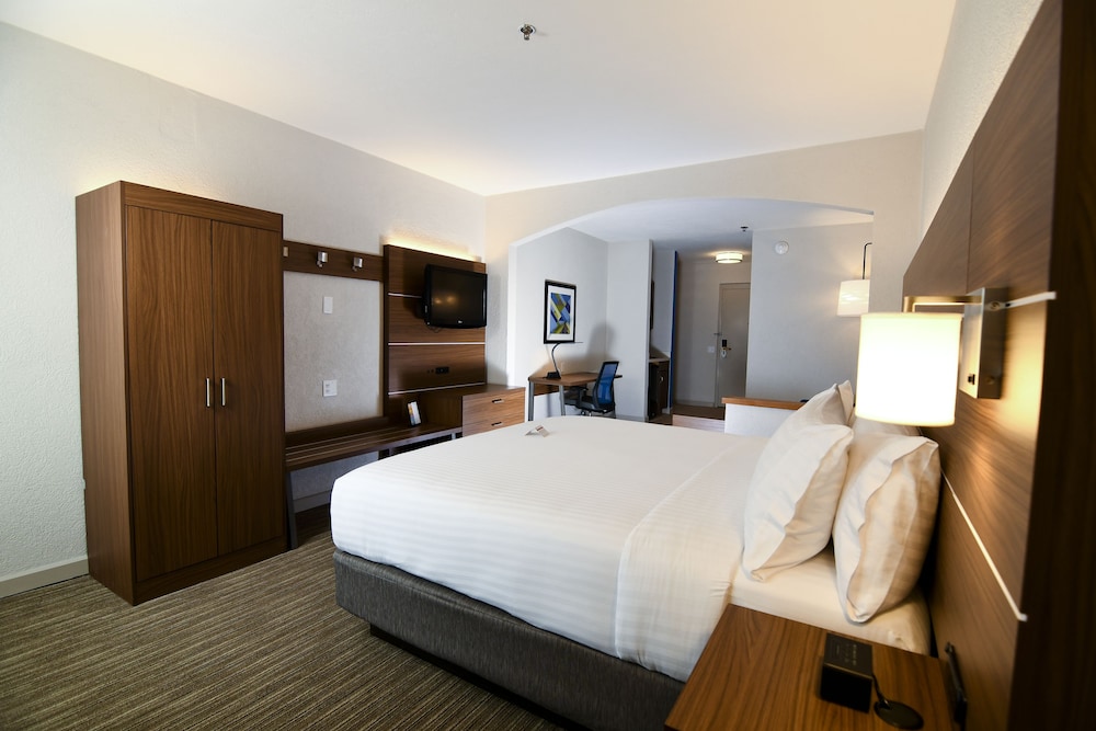 Suite, 1 King Bed - Photo 14