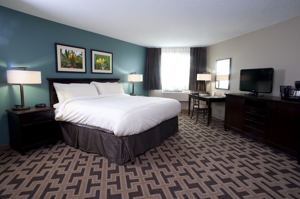 Standard Room, 2 Queen Beds photo 1