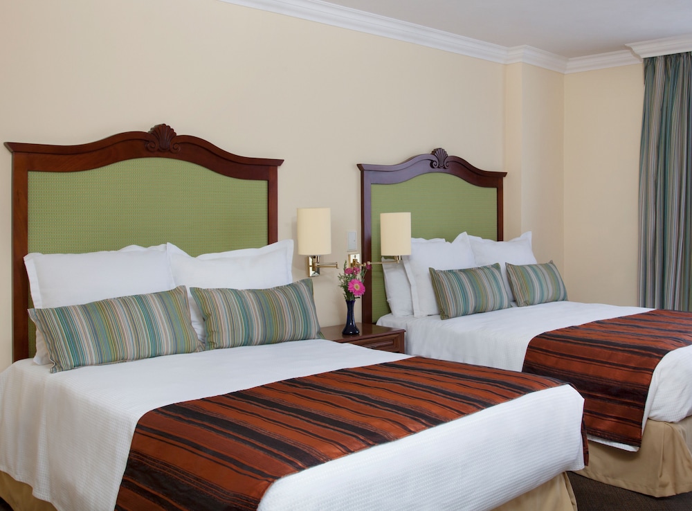 Standard Double Room - Photo 2