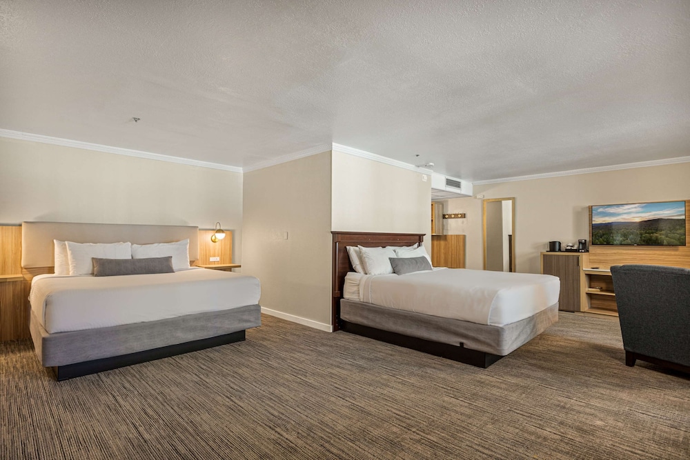 Standard Room, Multiple Beds, Non Smoking, Jetted Tub (Larger Room)