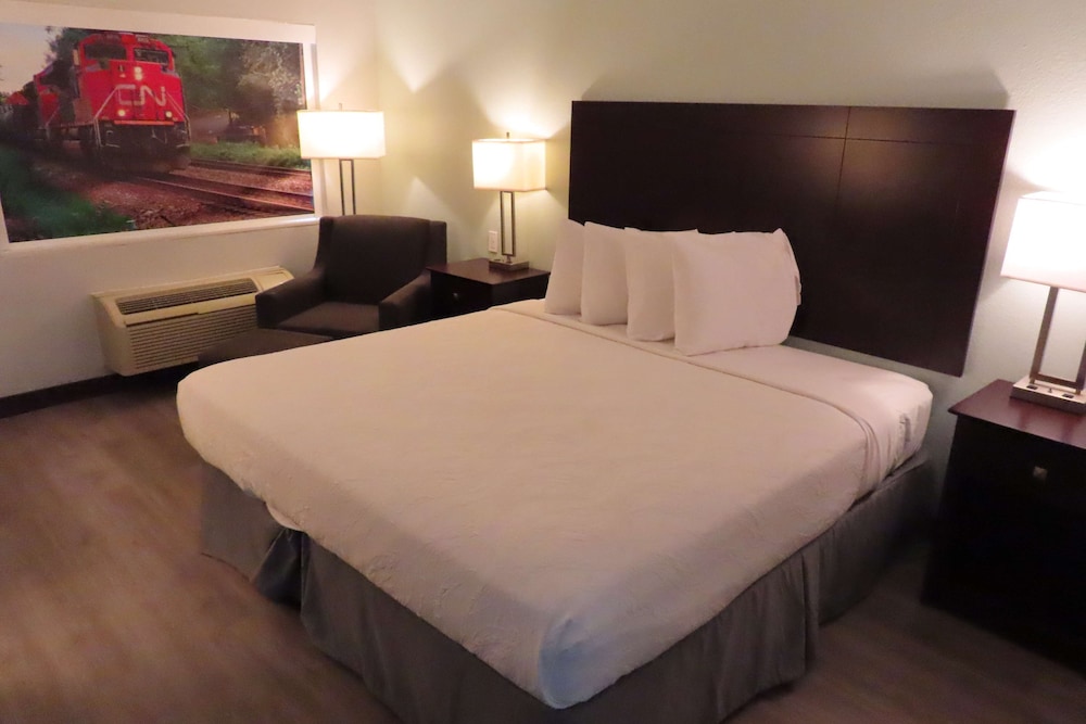 Standard Room, 1 King Bed, Accessible, Refrigerator & Microwave - Photo 1
