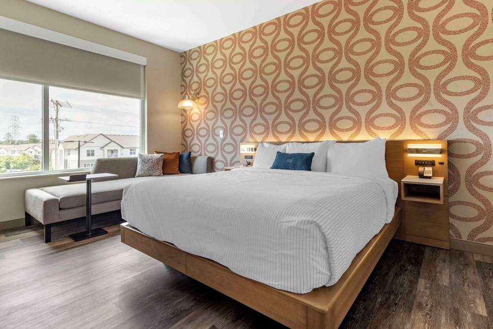 Suite, 1 King Bed With Sofa Bed, Non Smoking