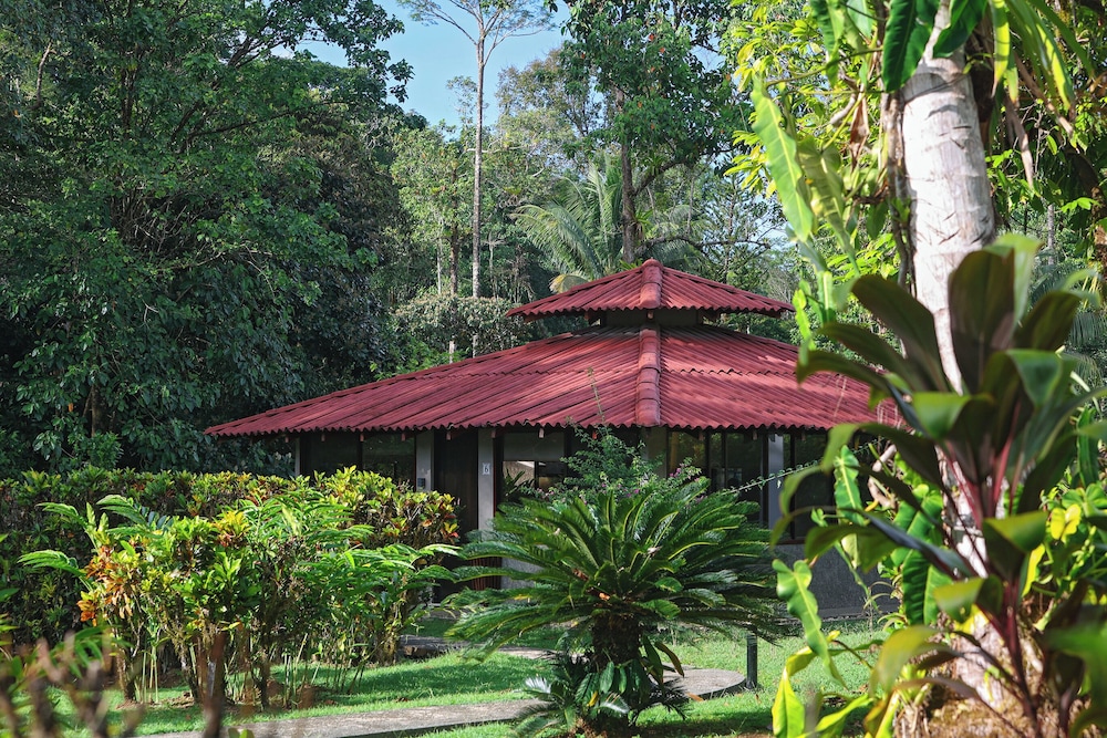Agujas Rainforest Suite photo 2