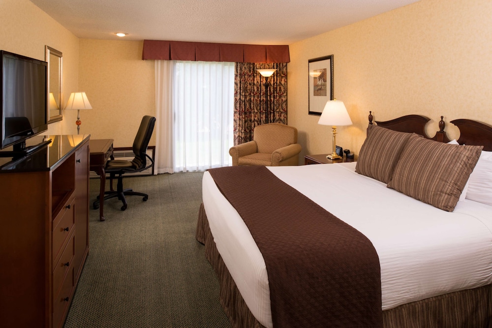 Room, 1 King Bed (Garden)