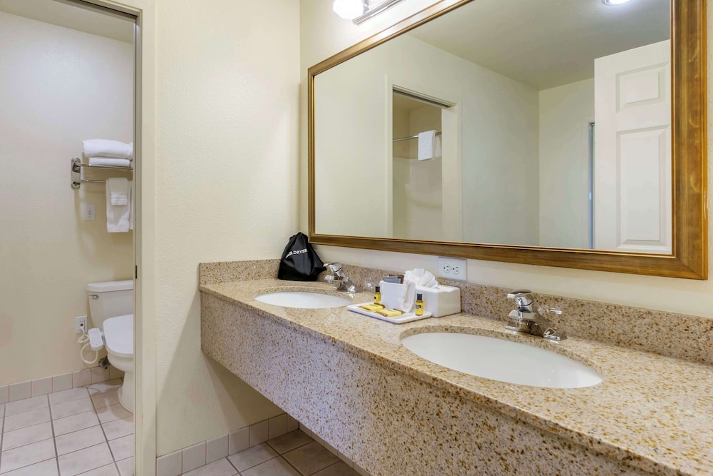 Standard Room, 1 King Bed, Non Smoking, Jetted Tub - Photo 5