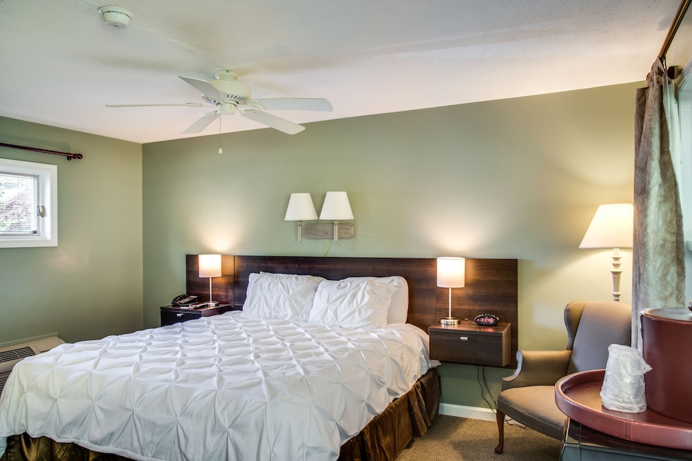 Room, 1 King Bed photo 1