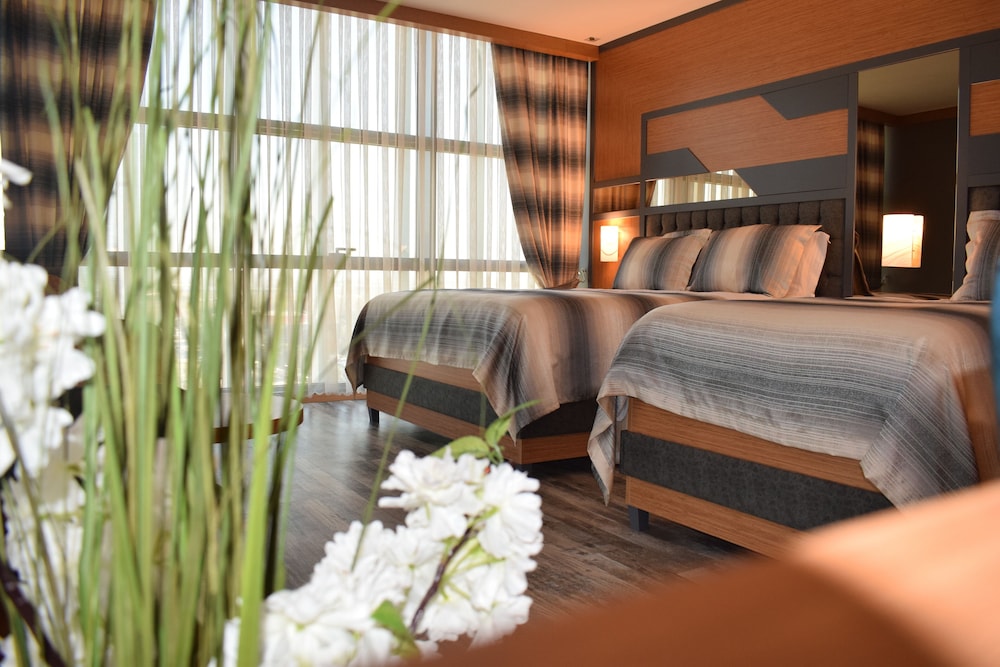 Deluxe Double Room, City View photo 1