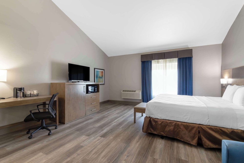 Suite, 1 King Bed, Non Smoking, Refrigerator & Microwave - Photo 3