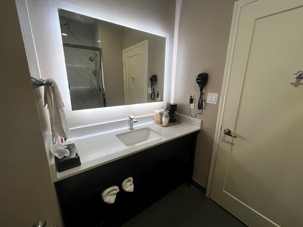 Deluxe Suite, 1 King Bed, Non Smoking - Photo 10