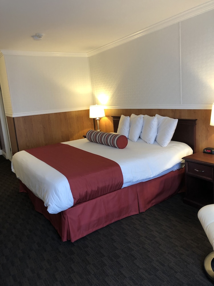 Business Room, 1 King Bed photo 1
