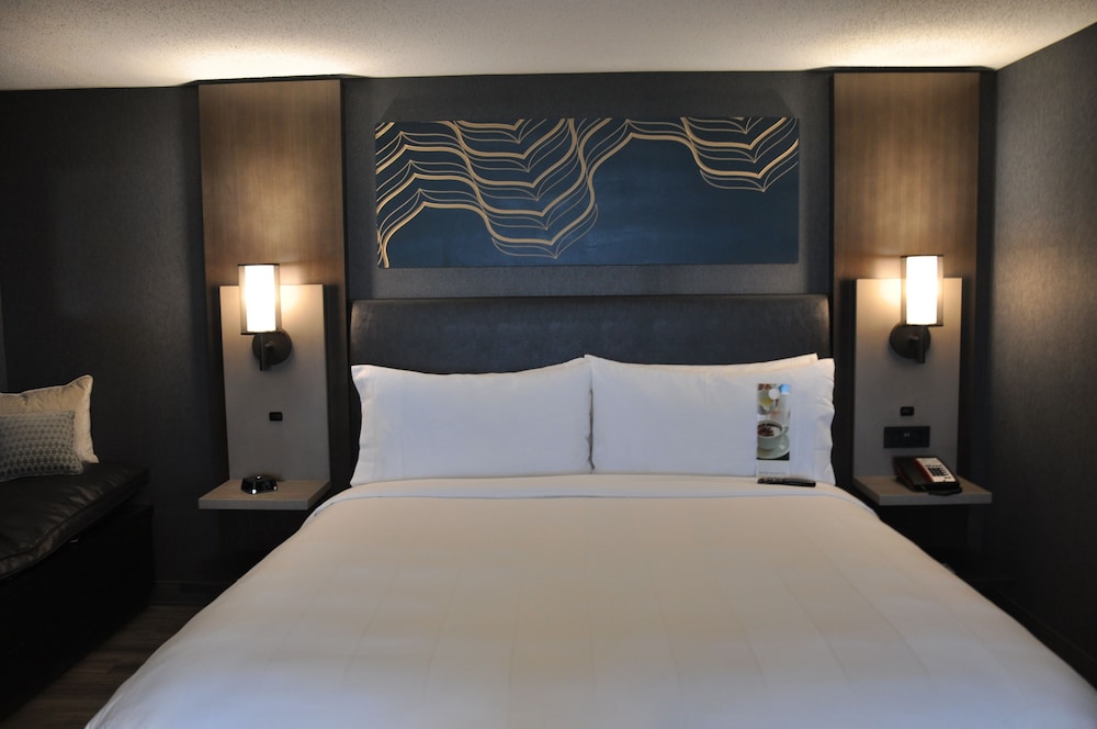 Room, 1 King Bed (Mobility/Hearing Access, Roll-in Shwr) - Photo 2
