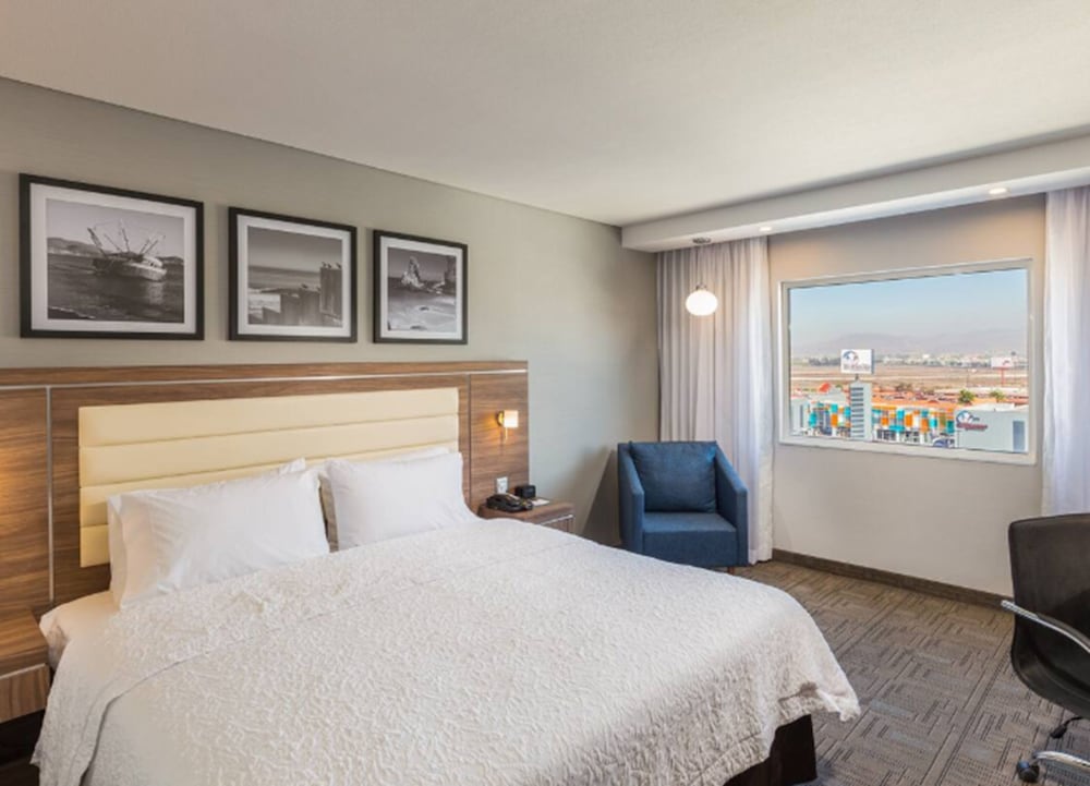 Room, 1 King Bed, Refrigerator