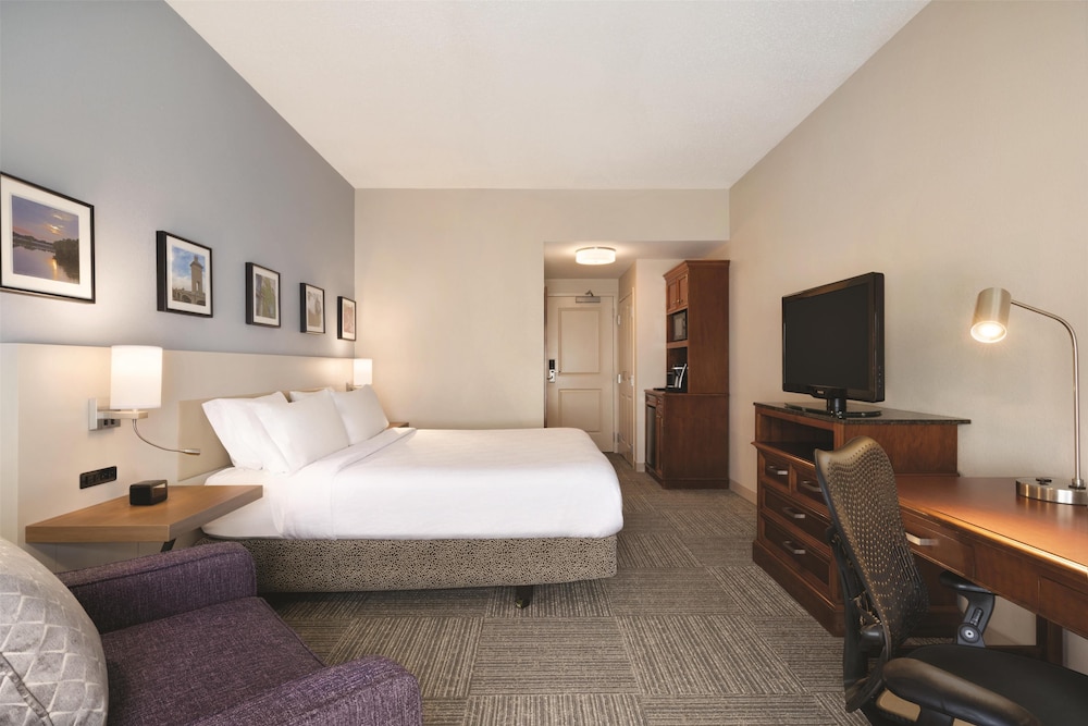 Room, 1 King Bed