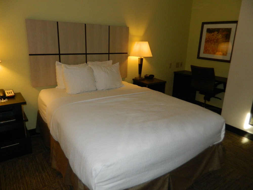 Studio Suite, 1 Queen Bed, Accessible (Mobility, Roll-In Shower) photo 2