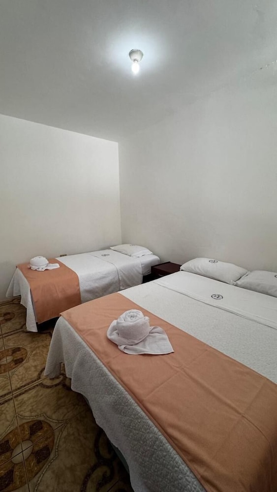 Comfort Shared Dormitory photo 1