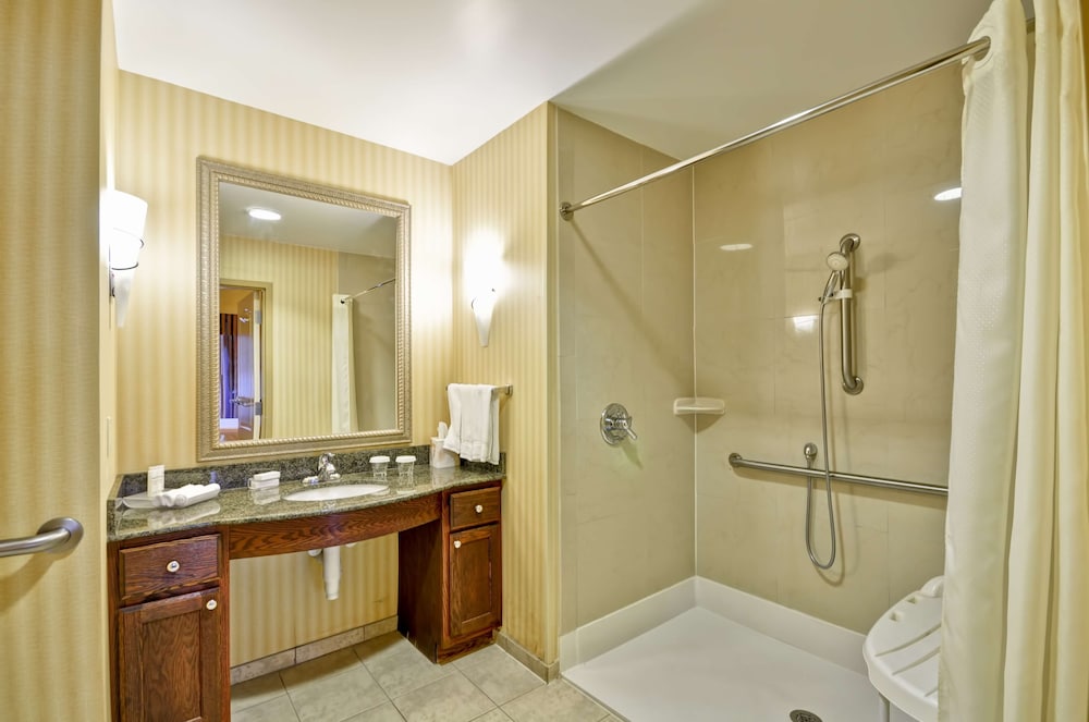 Studio, 1 King Bed, Accessible (Mobility & Hearing, Roll-in Shower) - Photo 6