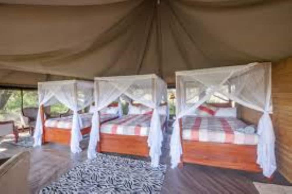 Luxury Tent, 3 Twin Beds, Non Smoking photo 1