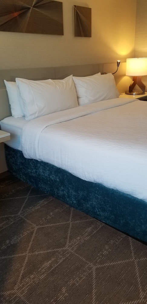 Room, 1 King Bed, Accessible, Mountain View (Hearing) photo 3
