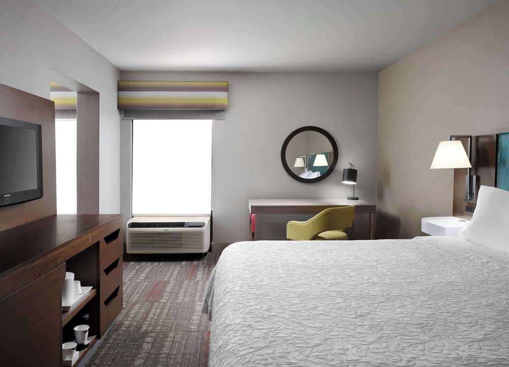 Suite, 1 King Bed, Non Smoking (Walk-in Shower;with Sofabed)