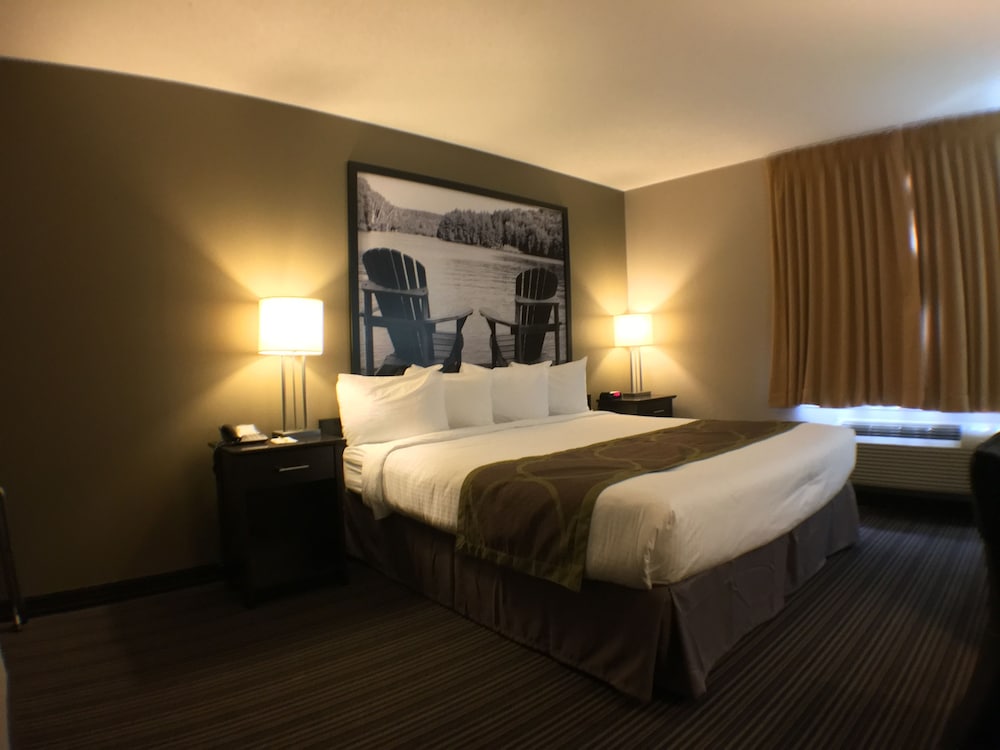 Suite, 1 Queen Bed with Bunk Beds photo 3