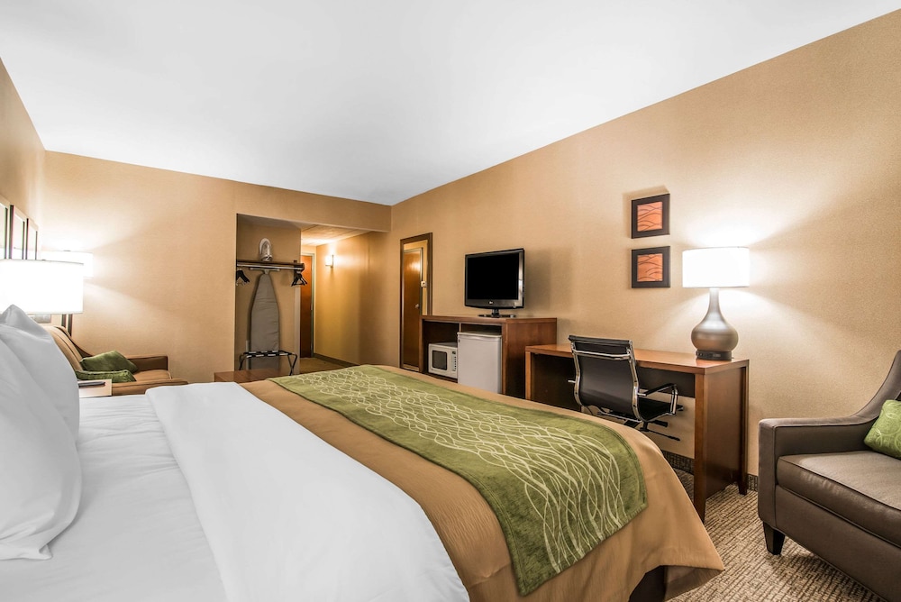 Standard Single Room, 1 King Bed, Non Smoking (Upgrade) photo 3