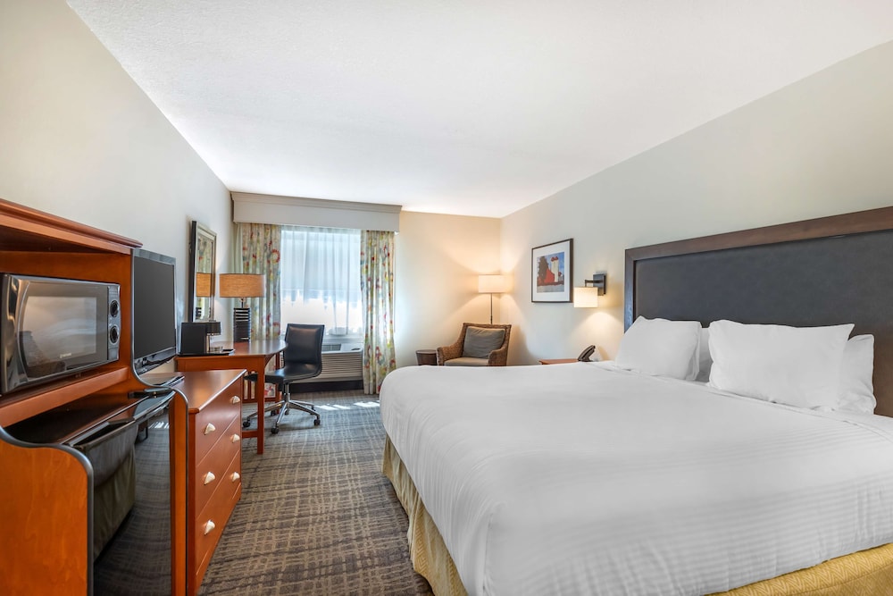 Standard Room, 1 King Bed, Non Smoking, Refrigerator - Photo 2