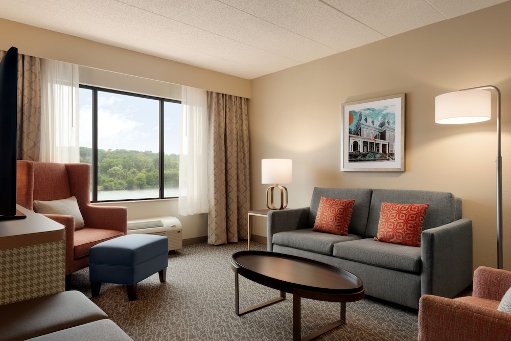 Suite, 1 King Bed - Photo 2
