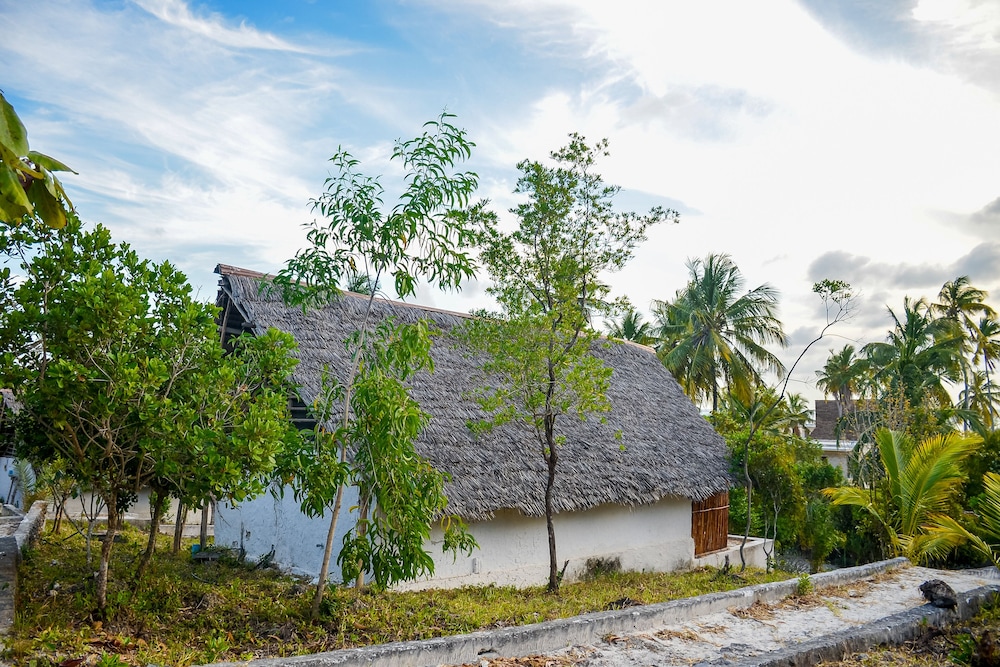 Comfort Bungalow photo 1