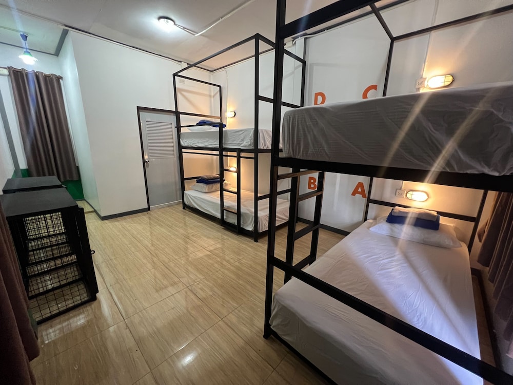 Standard Shared Dormitory