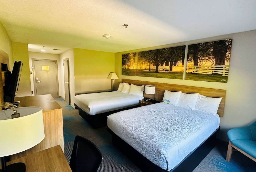 Room, Multiple Beds, Non Smoking - Photo 1