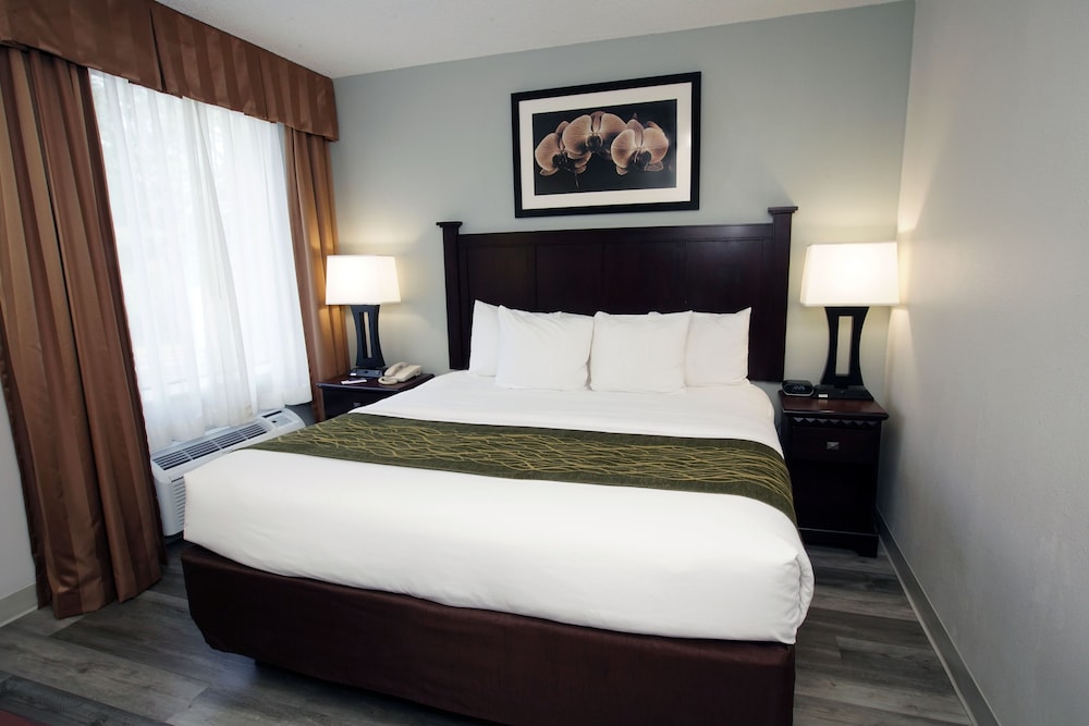 Suite, 1 Queen Bed, Accessible, Refrigerator & Microwave (with Sofabed) - Photo 3