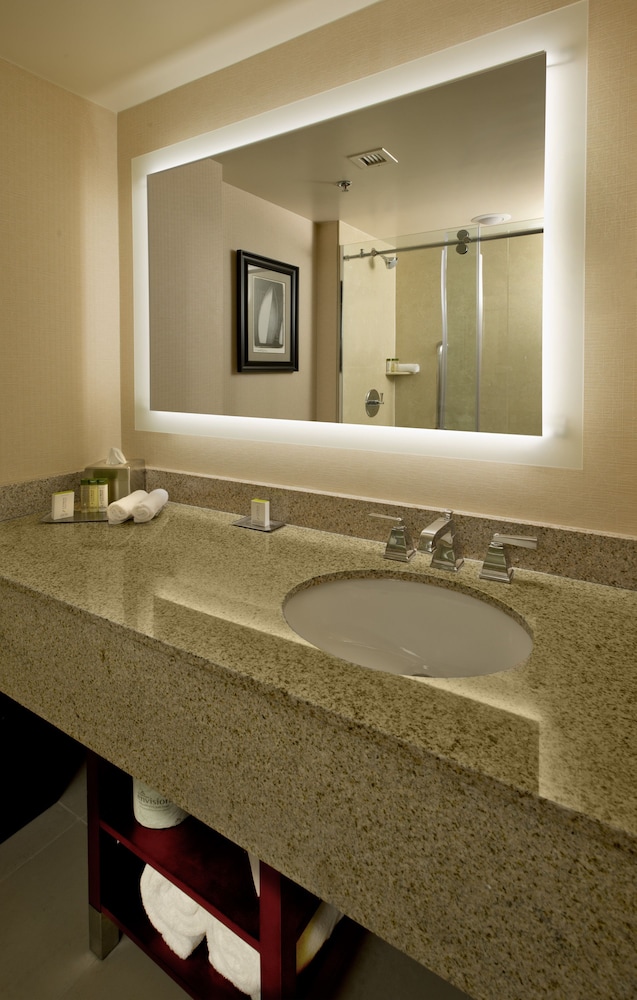 Executive Room, 1 King Bed, Accessible (Roll-in Shower) - Photo 4