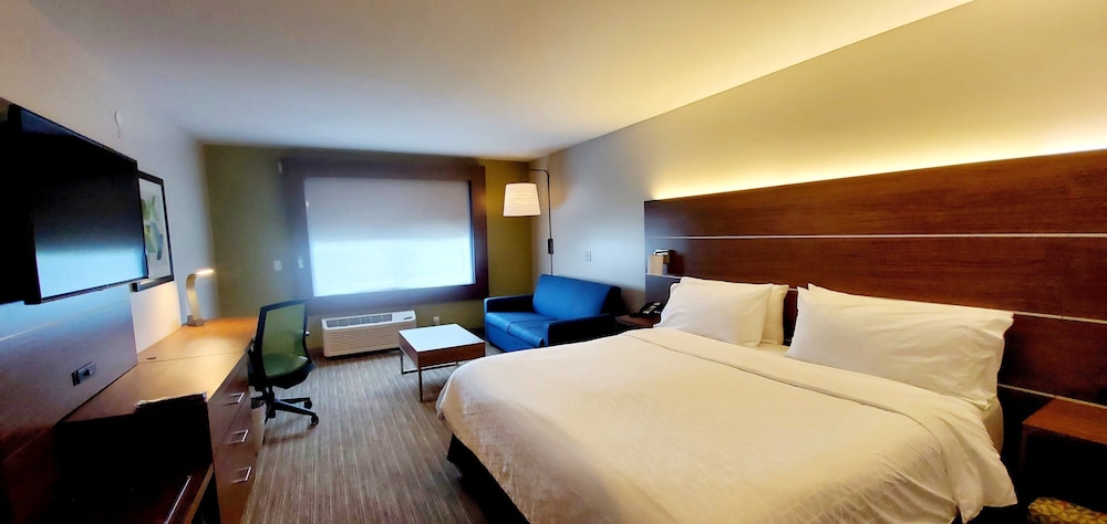 Suite, 1 King Bed, Mobility Accessible (Roll-In Shower) - Photo 3